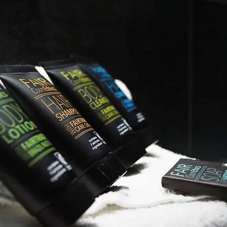فندق Olivier