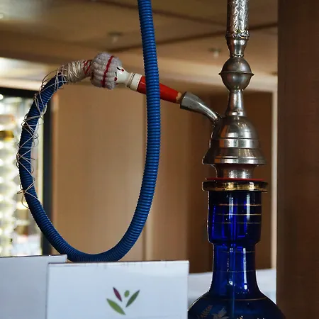 올리비에르 4* 스트라센