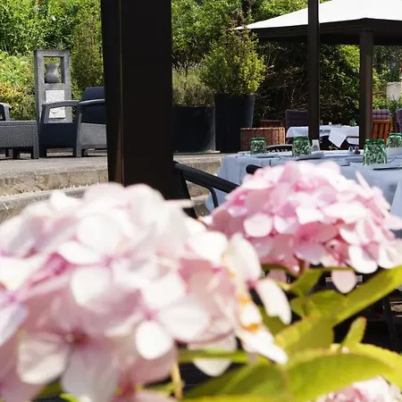 올리비에르 4* 스트라센